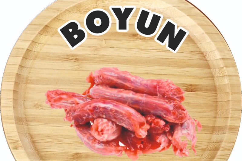 Boyun